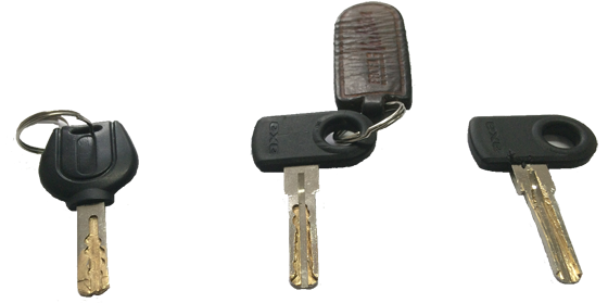 De dieven gebruiken lopers van gerenommeerde merken.