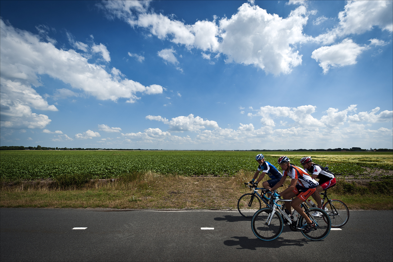 Opvallend is weer de positieve ontwikkeling van het ATB/MTB en het Sportshybride/racefietsen segment, die samen een omzetgroei laten zien van 6 procent.