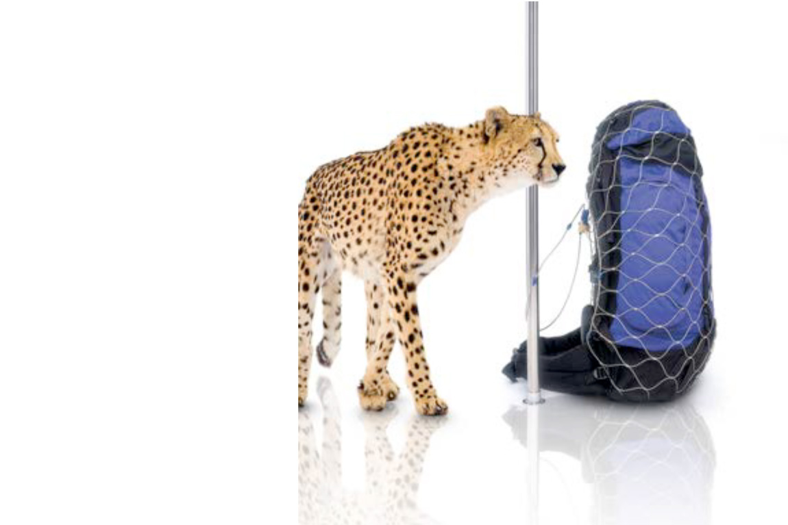 Pacsafe is een merk van ‘smart travel-gear’ met ingebouwde innovatieve anti-diefstaltechnologie. 