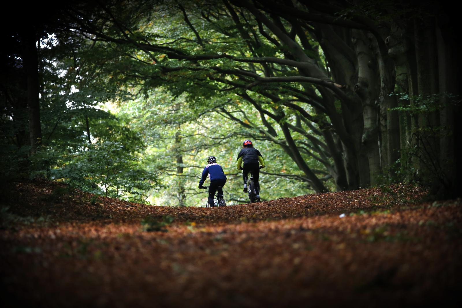 MTB/ATB liet een opmerkelijk groei zien van 31 procent in zowel afzet als omzet.