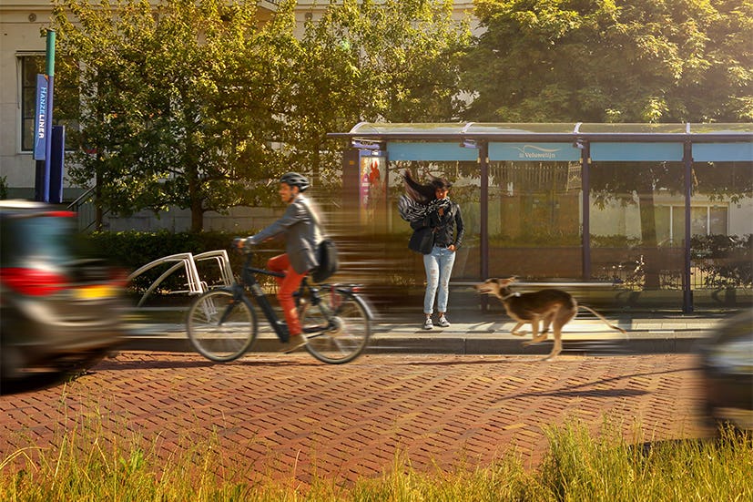 In de workshop over de speed e-bike komen zaken aan de orde zoals verzekeringsplicht, het omgaan met voertuigen met een typegoedkeuring, het aanvragen van een kenteken en meer,