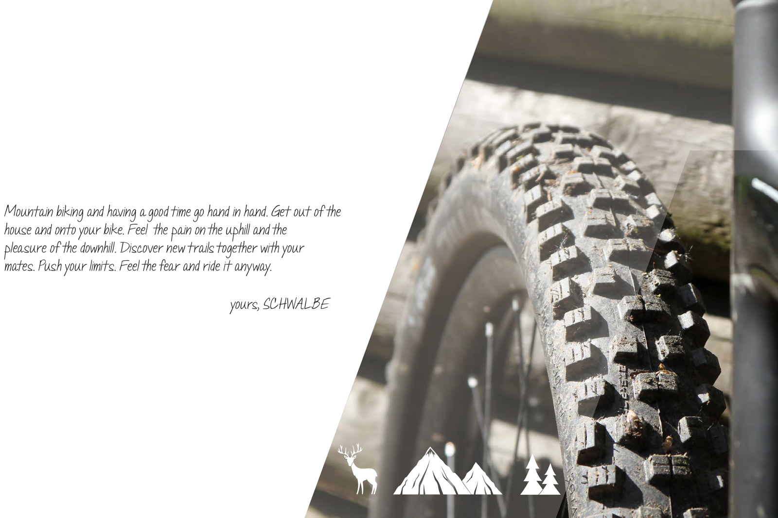 Schwalbe is dermate overtuigd van de kwaliteiten van de nieuwe Nobby Nic dat hij tevens de legendarische Fat Albert vervangt.