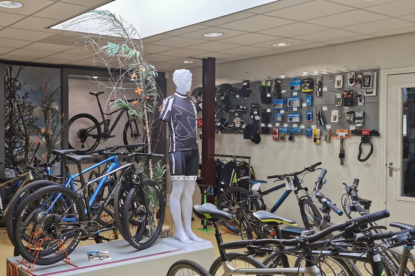 Meinsma Fietsen in Wijnjewoude