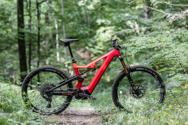 Flyer e-MTB wint Design & Innovation Award