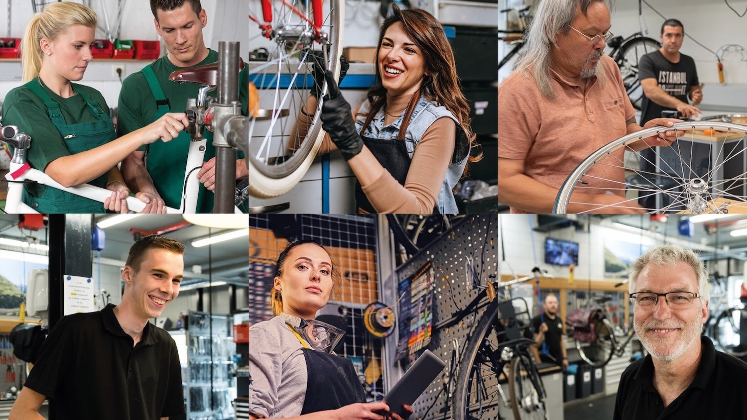 Tweewieler Academy start met trainingsaanbod STAP-budget