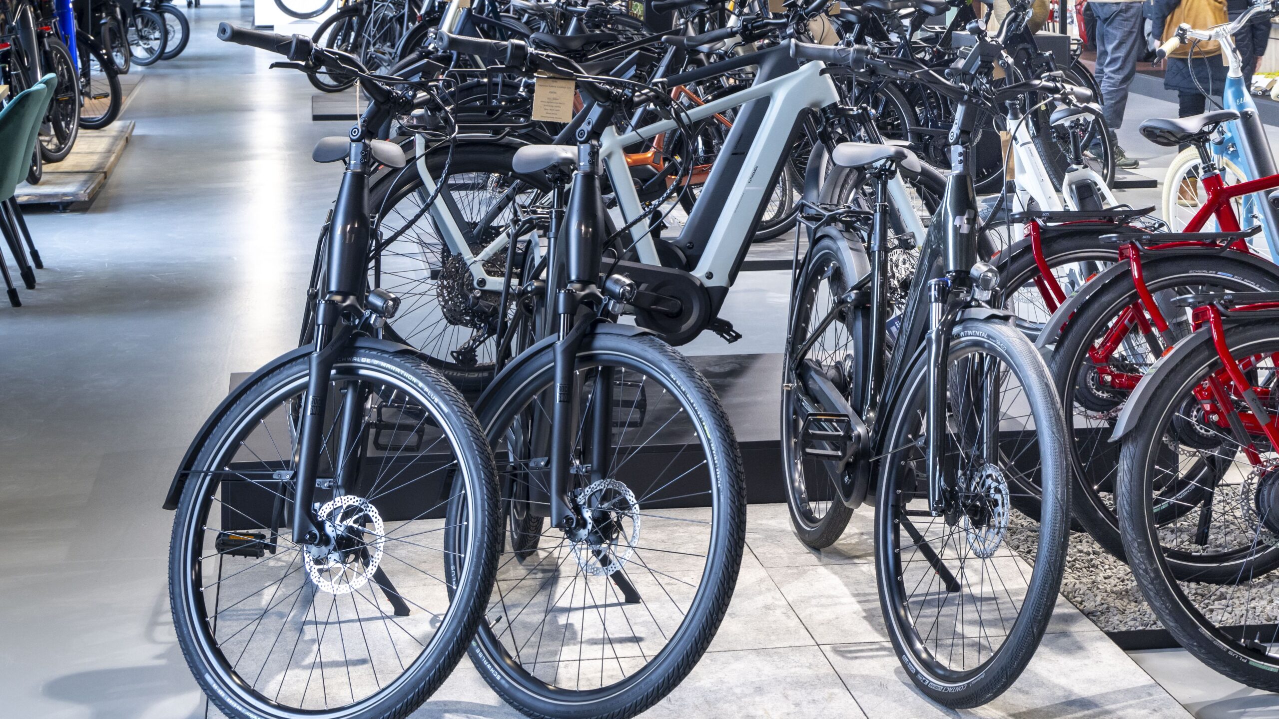 Foto: Koos Groenewold.