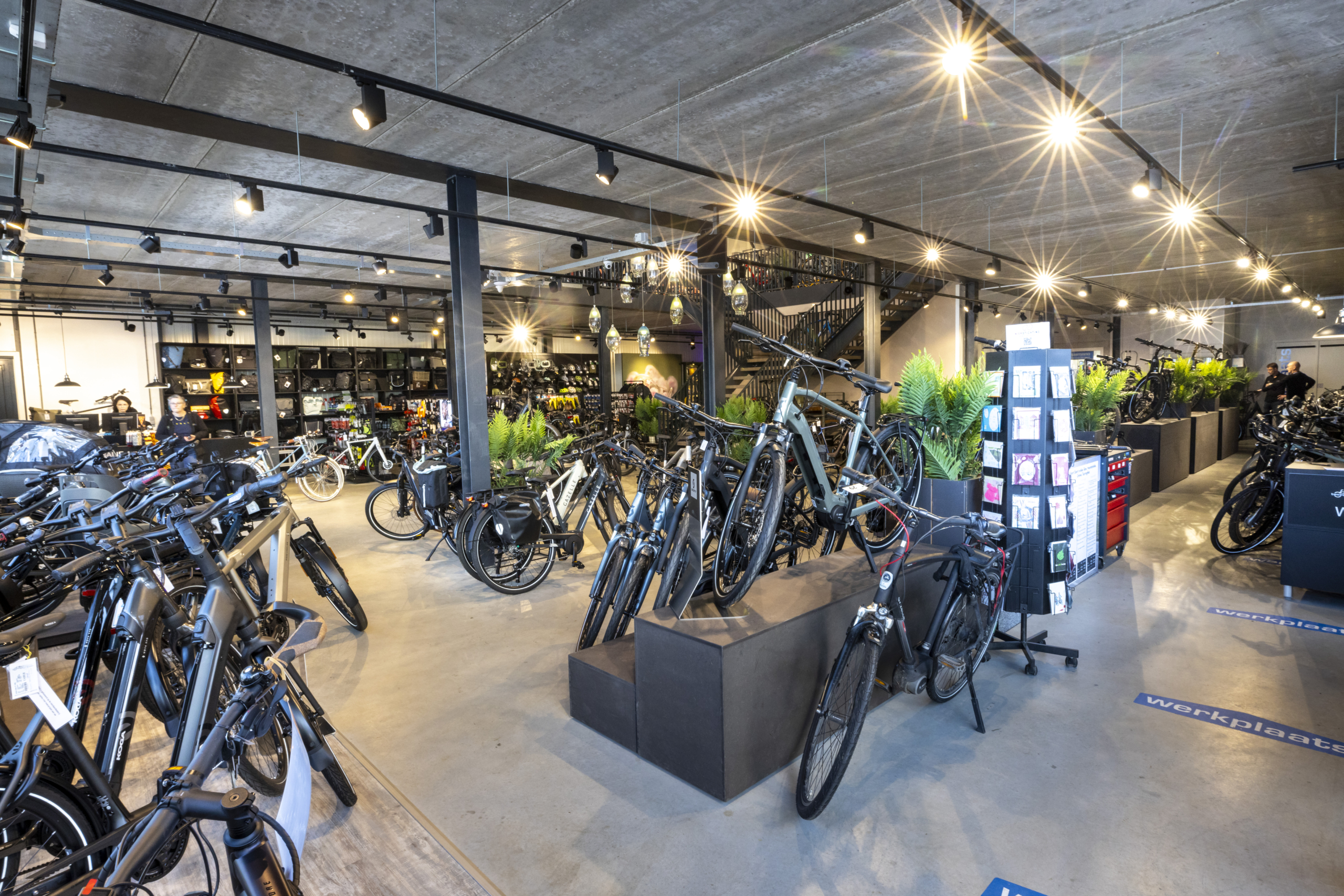 (Foto: Koos Groenewold)