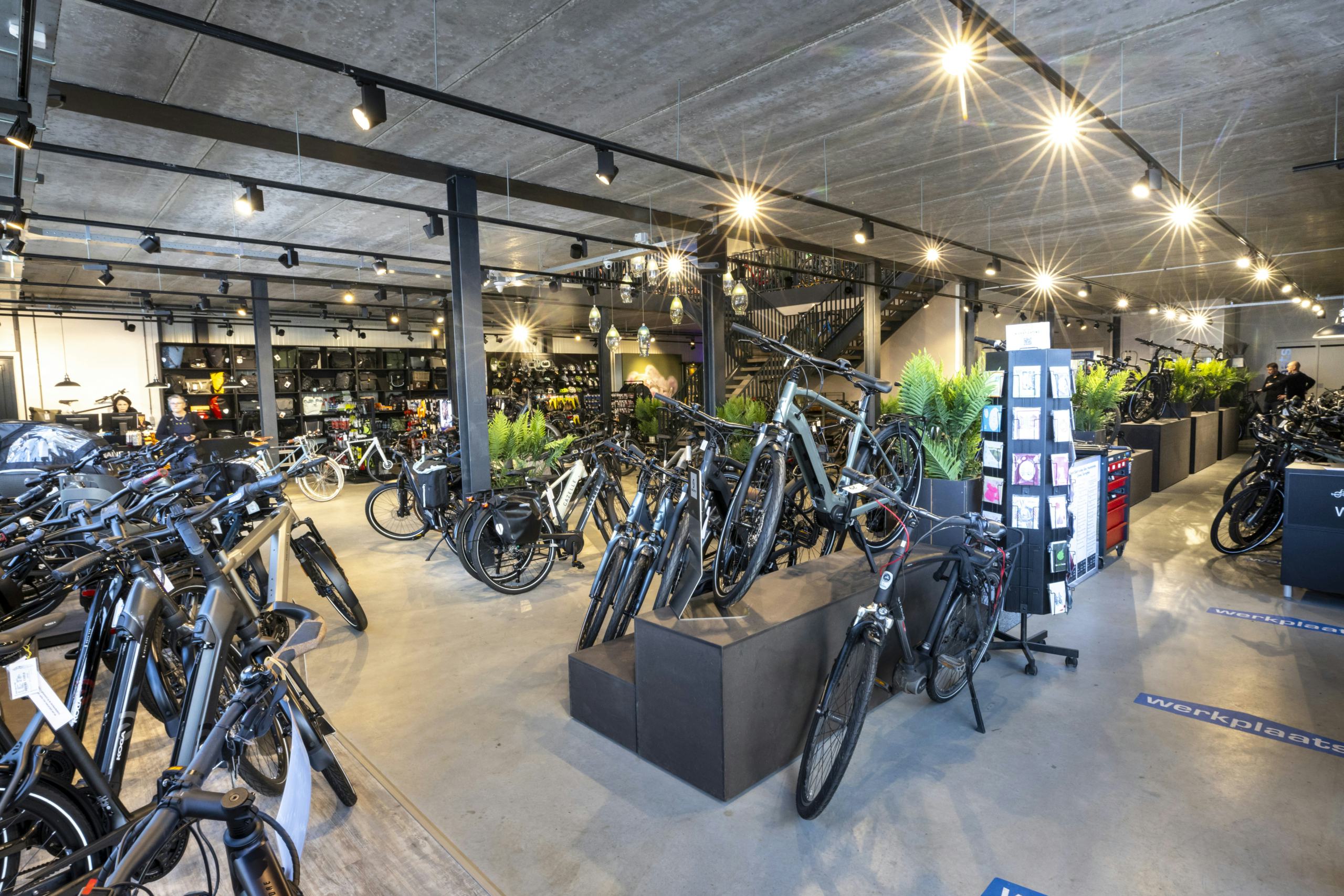 (Foto: Koos Groenewold)