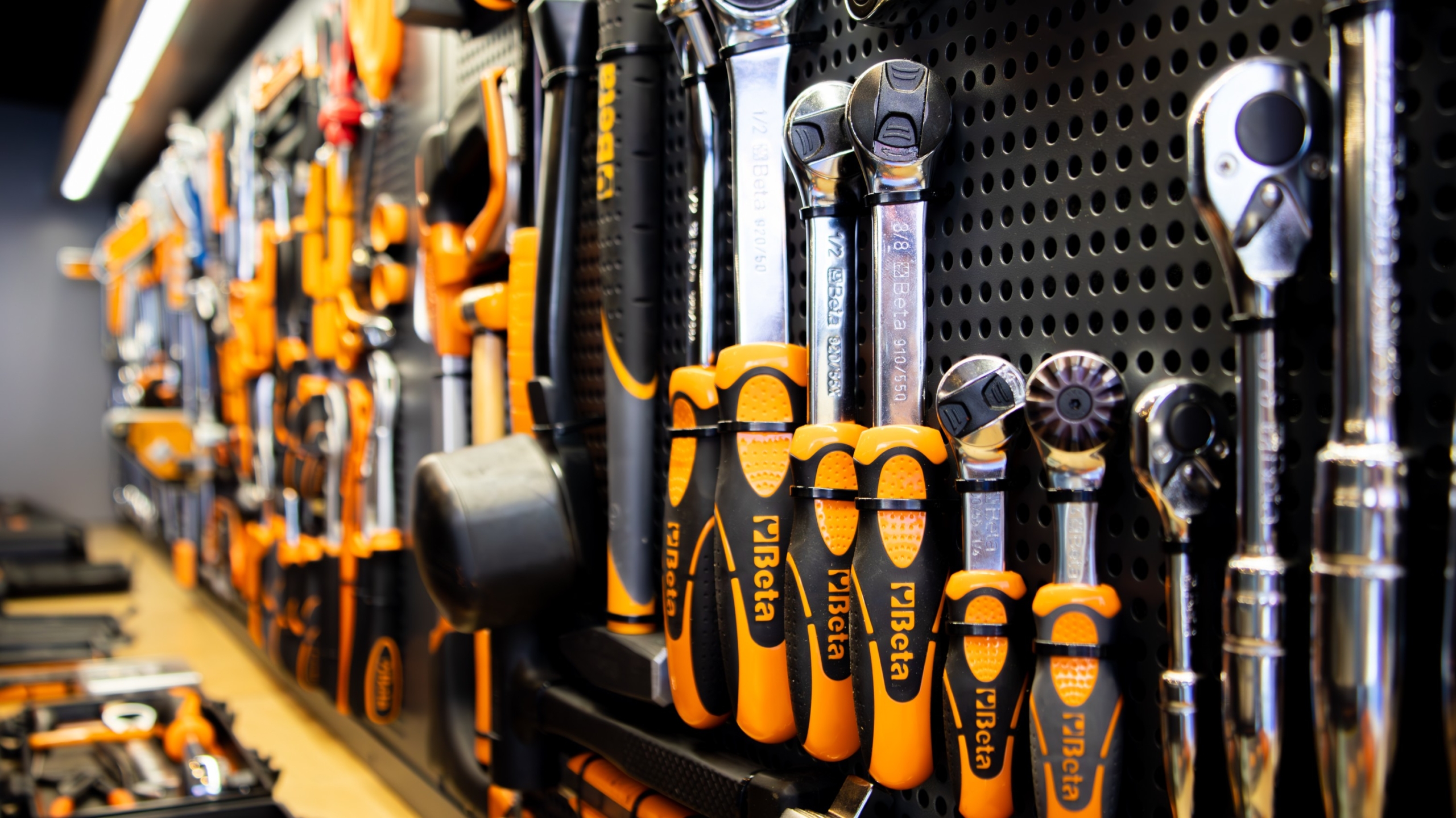 (Foto: Diederik van der Laan / Dutch Photo Agency)